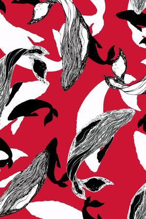 鲸鱼印花华亿平台图片