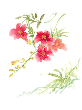 手绘印花华亿平台图片