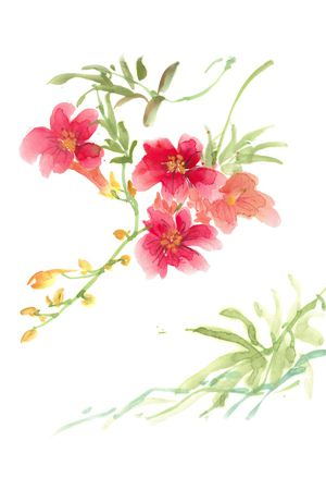 手绘印花华亿平台图片