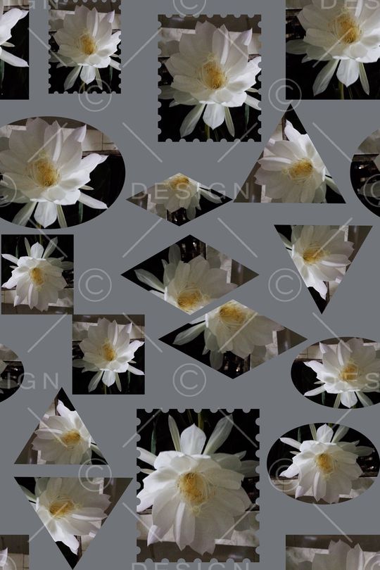 几何花卉印花华亿平台图片