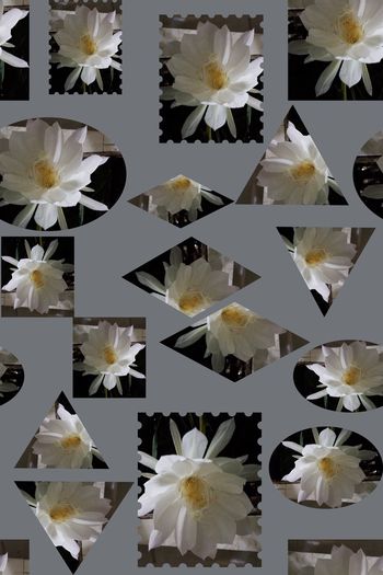 1216897-190617-gxzp-1-00