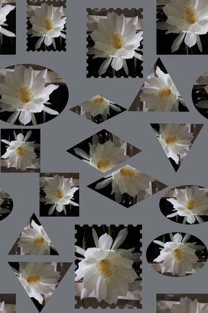 几何花卉印花华亿平台图片