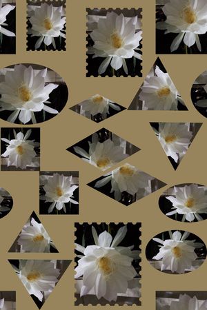 几何花卉印花华亿平台图片