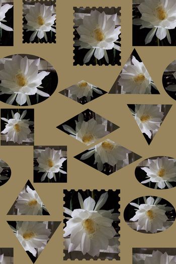 1216898-190617-gxzp-1-2