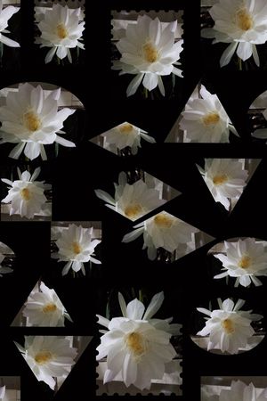 几何花卉印花华亿平台图片