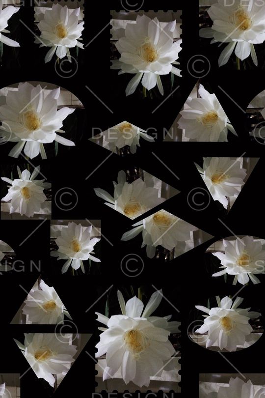 几何花卉印花华亿平台图片