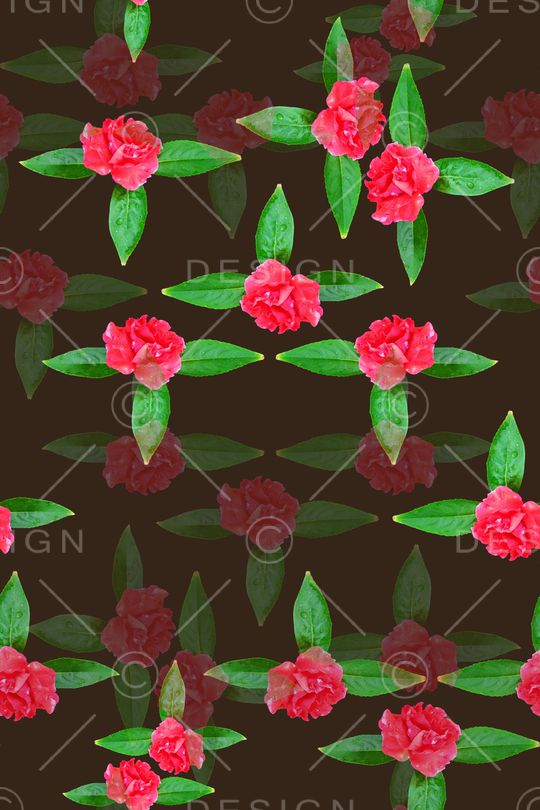 风格化花卉印花华亿平台图片