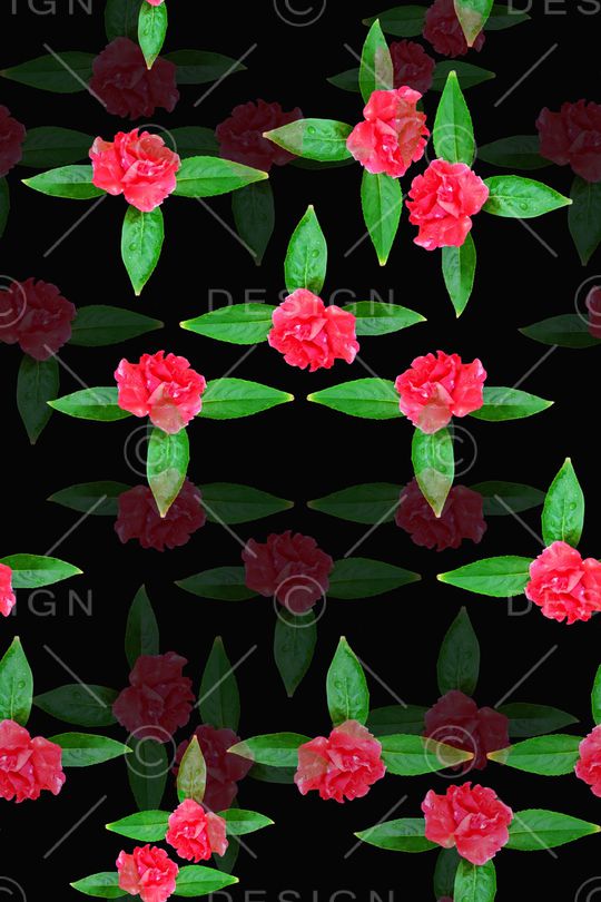 风格化花卉印花华亿平台图片