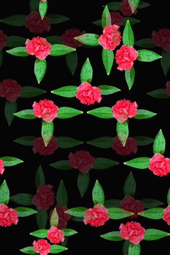 1216904-190617-gxzp-3-00