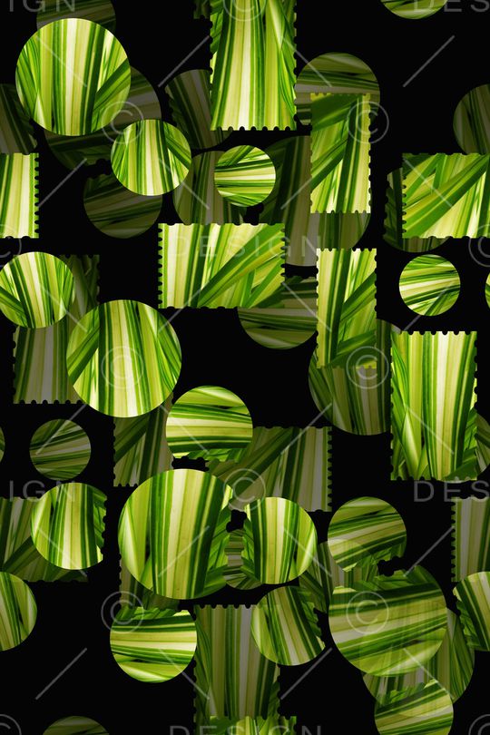 个性照片印花华亿平台图片