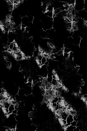 字母印花华亿平台图片