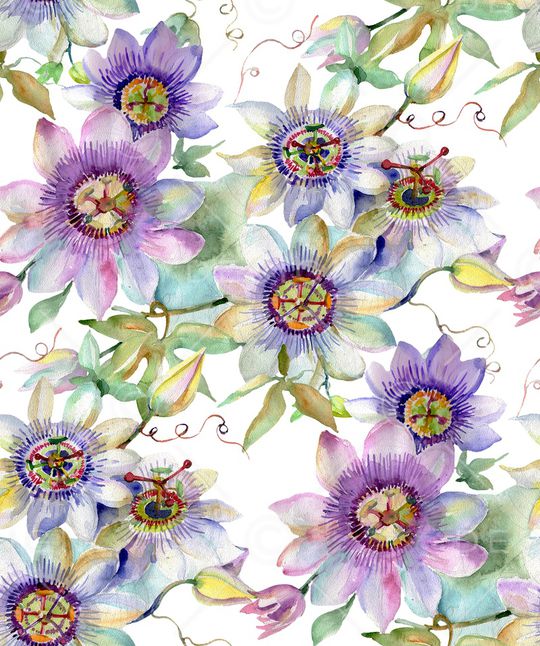 水彩花卉印花华亿平台图片