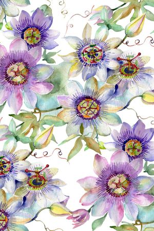 水彩花卉印花华亿平台图片