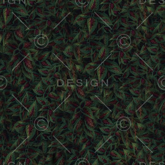 男装印花华亿平台图片