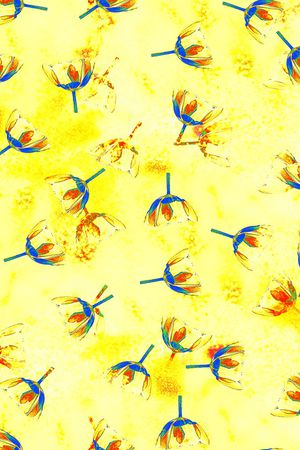 炫彩印花华亿平台图片