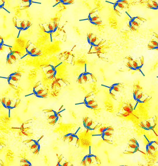 炫彩印花华亿平台图片