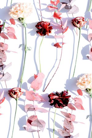 紫藤花印花华亿平台图片