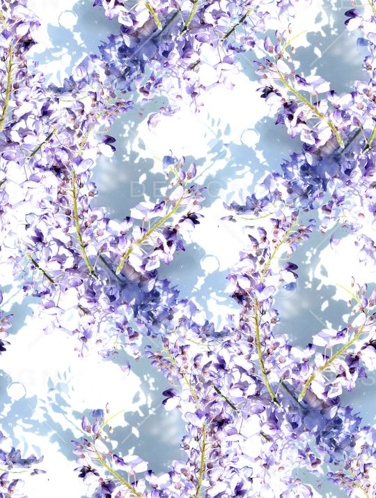 紫藤花印花华亿平台图片