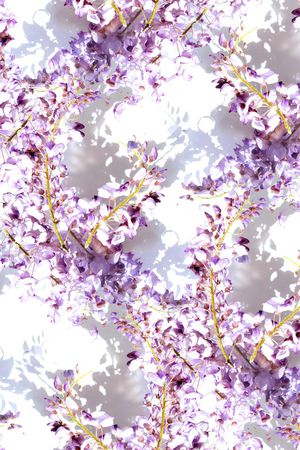 紫藤花印花华亿平台图片