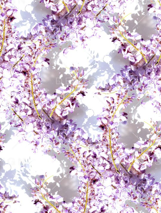 紫藤花印花华亿平台图片