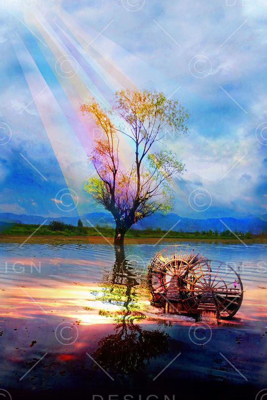 树倒影印花华亿平台图片