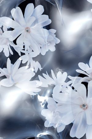 沾染印花华亿平台图片