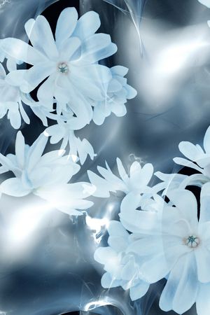 沾染印花华亿平台图片