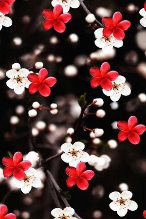 时尚印花华亿平台图片