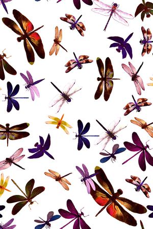 蜻蜓印花华亿平台图片