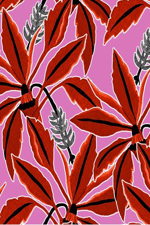 热带华亿平台印花华亿平台图片