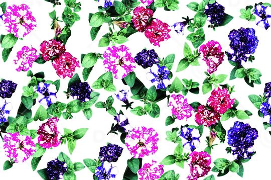 女装印花华亿平台图片