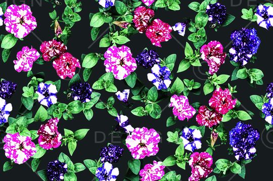 女装印花华亿平台图片