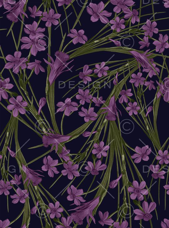 DIOR印花华亿平台图片