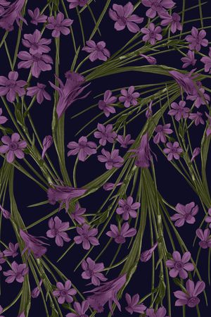 DIOR印花华亿平台图片