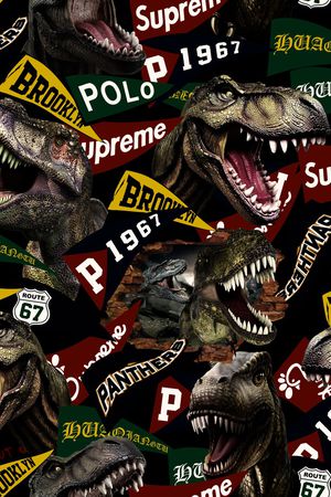 字母印花华亿平台图片