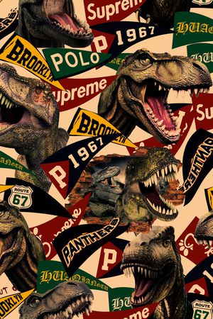 字母印花华亿平台图片