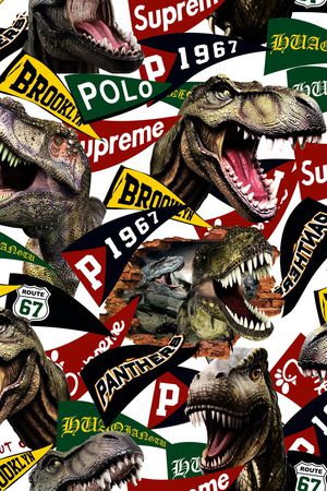 字母印花华亿平台图片