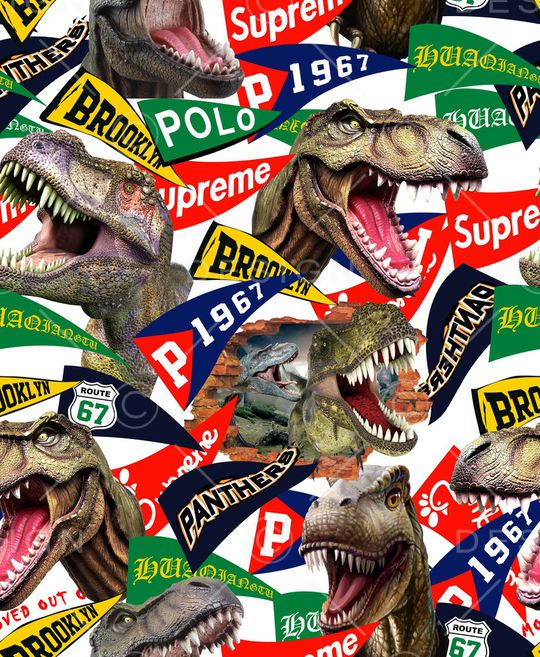 字母印花华亿平台图片