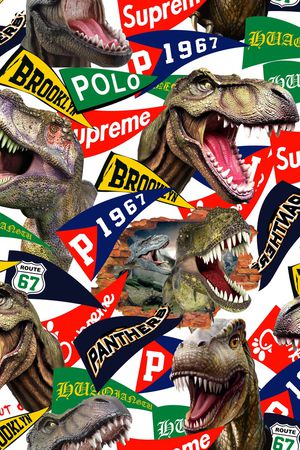 字母印花华亿平台图片