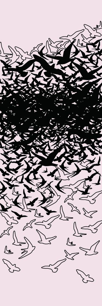 鸟/昆虫印花华亿平台图片