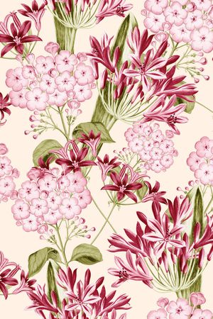 康乃馨印花华亿平台图片