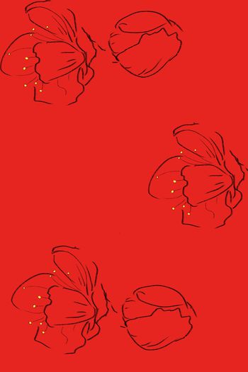 女装印花华亿平台图片