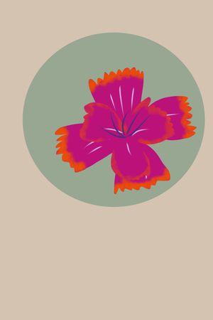 女装印花华亿平台图片