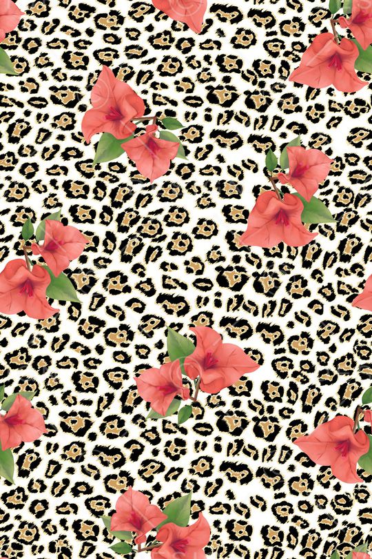 大牌风印花华亿平台图片