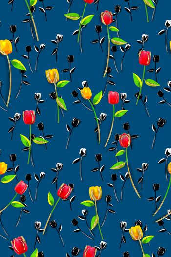 1221957-艾妮姬菓