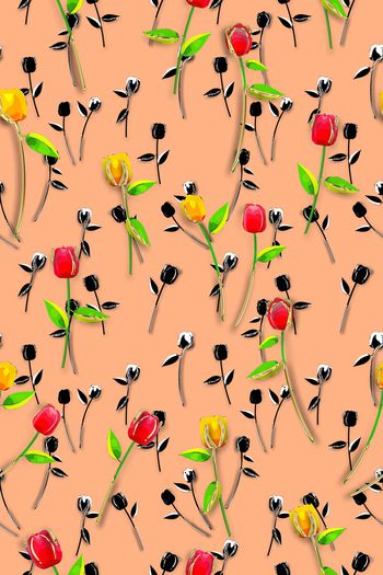 1221959-艾妮姬菓