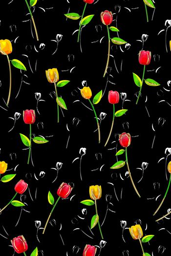 1221961-艾妮姬菓