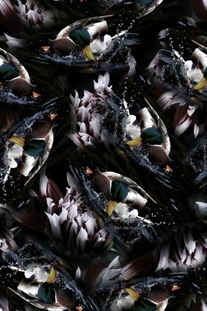 女装印花华亿平台图片