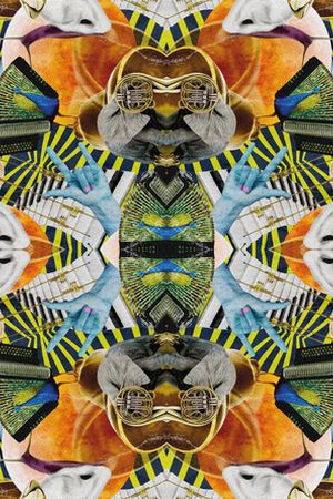 女装印花华亿平台图片