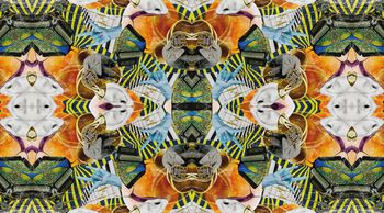 女装印花华亿平台图片